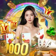 fogobet